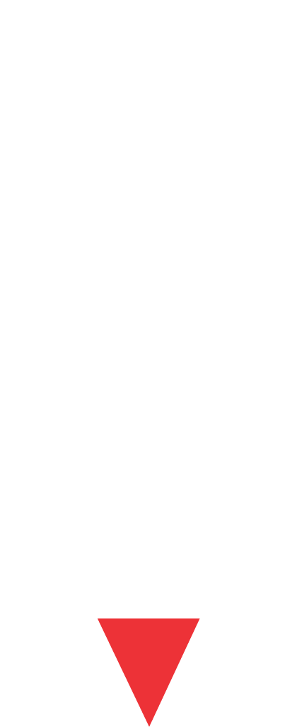 Designs & Words
